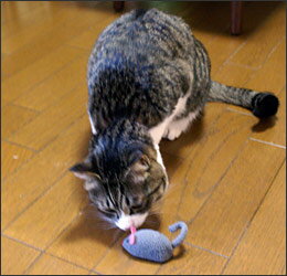 Turbo Mouse