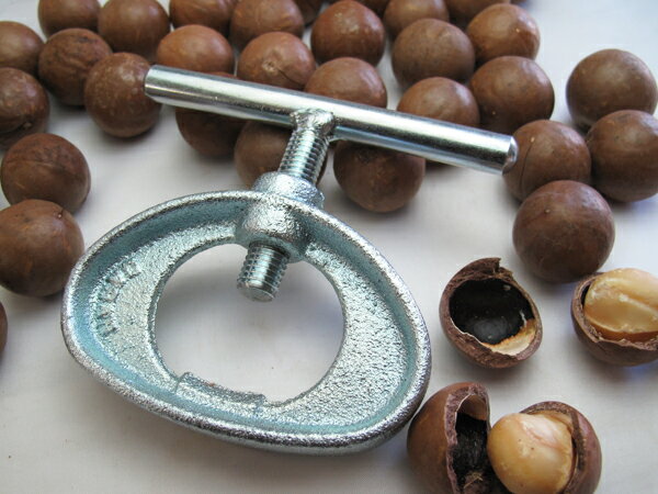 Macadamia nut cracker shell (cutter formula) Macadamia nut cracker shell (cutter formula)