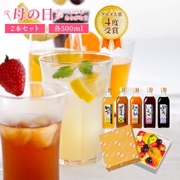 【4/25は24h限定！全商品P5倍開催中】母の日 限定 プレゼント 毎日飲める酢 500ml×2本 選べる セット | 飲む酢 飲むお酢 お酢 酢 ドリンク 果実酢 ビネガードリンク 健康 ギフト 健康食品 飲料 ギフトセット ビネガー 食品 <strong>りんご酢</strong> 飲む 健康ドリンク 実用的 母 送料無料