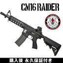 g&g 電動ガン CM16 Raider G&G ARMAMENT エアソフトガン【G&G電動ガン 購入後 永久保証付き】【送料無料】【レビューを書いて次回使える5%OFFクーポンゲット】【G&G オフィシャルショップ 41ミリタリー】