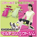 【送料無料】アルインコ EXG042GP マルチコンパクトジム【シットアップベンチ】【エクササイズ】【ダイエット/健康】【健康器具】【肉体改造】
