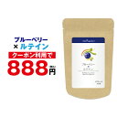 【ブルーベリー×ルテイン】(ゼアスキサンチン アサイー アントシアニン アスタキサン