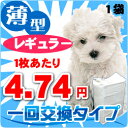 ペットシーツ 激安 薄型レギュラーサイズ/240枚入 1枚4.98円/使い切りで業務用にもおすすめ 愛犬 トイレ ペットシート【1207P05】【HLS_DU】