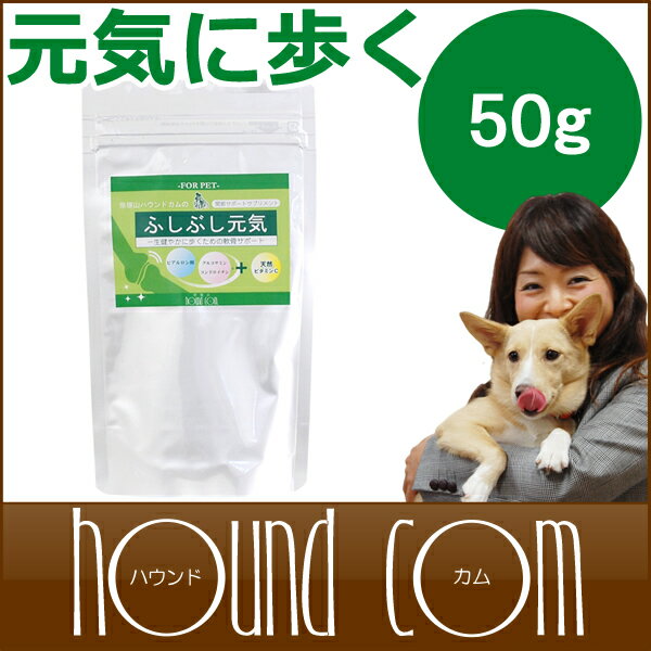 犬 サプリ 関節サポート ふしぶし元気50g ヘルニア 猫 グルコサミン 50g ジョイントサポートサプリメント サプリメント 犬用サプリメント 栄養補助食品【ペット用品 ペットグッズ ペット用 帝塚山ハウンドカム 楽天市場店 犬のサプリメント】：帝塚山ハウンドカム　楽天市場店