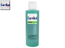ボディ脱脂 脱脂洗車 【業務用脱脂シャンプー原液 200ml(お試しサイズ】 下地処理 脱脂剤 コンパウンド磨き 洗車用品 コーティング前処理 コーティング加工後の洗車 ガラスコーティング カーケア用品