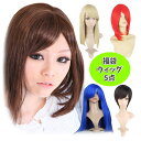 福袋 ウィッグ福袋 5点セット コスプレウィッグ フルウィッグ ハロウィン 仮装 コミケ イベント パーティー カラーウィッグ 耐熱ウィッグ ショートウィッグ ロングウィッグ カールウィッグ ラッキーバッグ 送料込 送料無料