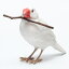 BIRDIE BILL WHITE JAVA SPARROW　（バーディ ビル 白文鳥） 【AS】