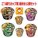 新着 にぎわい広場 マルちゃん ごつ盛り カップ麺 6種×2個 12個セット 関東圏送料無料