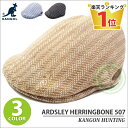 【送料無料】【KANGOL 141169018】KANGOL 深めヘリンボーン柄ハンチング ARDSLEY HERRINGBONE 507 全3色 kan-141-169018【YDKG-td】【smtb-TD】【saitama】【RCP】メンズ 大きい 62cm ランキング入賞 ギフト プレゼント