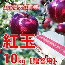 紅玉 りんご 送料無料 10kg 山形 山形県大江町本郷 北山のジュース屋 EM栽培 こうぎょく りんご 美味日本 カロリー 値段 国産 東北 産地 食感 時期 農産物