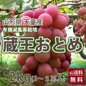 ぶどう ブドウ ギフト 葡萄 限定 高級 山形 【 蔵王おとめ 2kg （ 3〜5房入） 9月末〜1...:auc-kajuaru:10000914