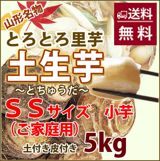 里芋 山形 送料無料 SSサイズ 5kg 小芋 土生芋 （ とちゅうだ ） （ご家庭用）（…...:auc-kajuaru:10000945