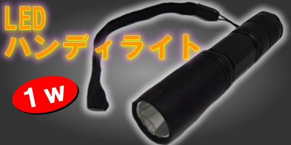 ⵱١1wѡLEDߥ˥ϥǥ饤ȹ