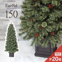 [まもなく終了ポイント10倍]クリスマスツリー おしゃれ 北欧 150cm 高級 ドイツトウヒツリー オーナメント 飾り セット なし ツリー ヌードツリー スリム ornament Xmas tree Eurpot 【nd】