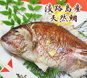 【限定特価】お食い初め 鯛　500g〜　お食い初め・祝い事には淡路島の美味しい天然焼