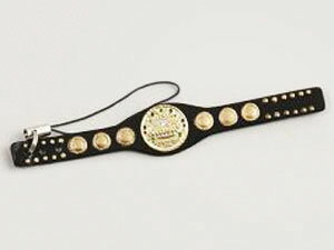 IWGP ݷ٥ȥȥåס㿷
