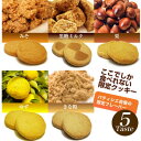 1ヶ月お試し豆乳おからクッキーコレクション（ゆず、黒糖みるく、みそ、きなこ、栗）賞味期限間近のため激安価格！パティシエ自慢の限定フレーバー豆乳おからクッキーコレクションをお試しください。