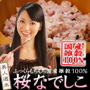 【美人選米 桜なでしこ】【10P24sep10】【セール】ダイエットプロジェクト！ふっくらモチモチ♪女性のダイエットの為にブレンドされた雑穀米