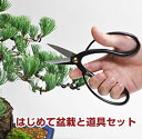 盆栽 道具 セット 選べる 長寿梅 五葉松 桜 初心者セット ミニ盆栽 キット 入門 はさみ 盆栽鋏 ピンセット 薬剤 ベニカ トレー お助け 道具セット ミニ盆栽 入門 初心者 これから 始める ギフト盆栽 退職 ラッピング 母の日 父の日 誕生日 桜特集