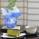 盆栽 盆栽とお菓子のセット 松盆栽 本格四国黒松 京都の人気土産 抹茶ケーキ 選べる陶器の鉢 受け皿 or 敷物付き 趣味