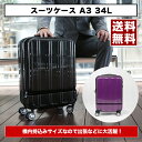 【送料無料】【ポイント2倍】機内持込みサイズ/Wキ