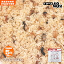 食物アレルギー特定原材料等27品目不使用非常食『きのこごはん』×48袋入(スプーン付)(保存食/備蓄/5年保存/ご飯/米/ケース販売)
