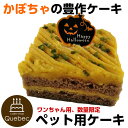 即日発送 ハロウィンケーキ 犬用 かぼちゃの豊作ケーキ...