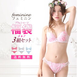 3組セット フェミニン ガーリー <strong>福袋</strong> ブラジャー ショーツ セット レディース 下着 B〜F <strong>ブラショーツ</strong> 上下セット 女性 <strong>ブラショーツ</strong>セット ブラ・ショーツ ブラ 大きいサイズ グラマー Eカップ Fカップ 送料無料