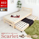 【半額50%OFF 期間限定12/11 1:59ま