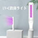 1000円ポッキリ UV-C 紫外線 除菌ライト 携帯 殺菌 除菌ランプ ポータ