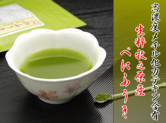 “送料無料”静岡茶牧之原産緑茶「べにふうき」微粉末40g“送料無料”「べにふうき」微粉末40g入。しかも、2.31％もの高濃度のメチル化カテキンを含有。