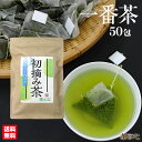 初摘み茶 ティーバッグ 50包 3g 緑茶 九州産 新茶 2020年度産 一番茶 深蒸し カテキン ビタミンC 送料無料 お茶漬け 高級 健康 水出し