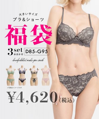 大きいサイズ レディース ブラジャー&ショーツ3点セット福袋【LLサイズ・3Lサイズ・4Lサイズ】【大きいサイズ・レディース】13号・15号・17号・19号【マタニティウエア】あす楽対応