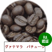 O@e} RAF؁@p`[W_(100g)