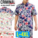 【まとめ割】【送料無料】【L〜4XL】クリミナルオ