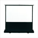 EPSON ELPSC25 [90インチ ホワイト