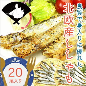 コスパ抜群＼どっさり20尾／絶品子持ちシシャモ／3Lサイズ(ししゃも)(小魚)(カルシウム…...:dejimaya:10000647