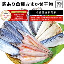 【訳あり】【規格外】 魚種おまかせ干物（ひもの）セット 4種12品(アジ サバ サンマ等) 同一配送先に2セット以上で特典付き 冷凍便送料無料 北海道・沖縄・離島のみ別途送料必要 出島屋 2017年度グルメ大賞受賞 2018年3月度月間優良ショップ