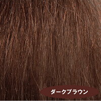 国産黒大豆の泡染めトリートメント200ml【同梱:A】【コンビニ後払いOK】【RCP】【10P11Apr15】
