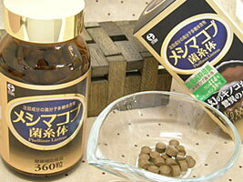 メシマコブ菌糸体