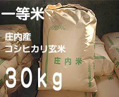 8月店長おすすめ米23年度庄内産コシヒカリ玄米30kg（30kg×1袋）【楽ギフ_のし】