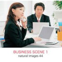 【あす楽】naturalimages Vol.44 BUSINESS SCENE 1 CD-ROM素材集 送料無料 ロイヤリティ フリー cd-rom画像 cd-rom写真 写真 写真素材 素材