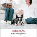 【あす楽】naturalimages Vol.88 WITH DOGS CD-ROM素材集 送料無料 ロイヤリティ フリー cd-rom画像 cd-rom写真 写真 写真素材 素材