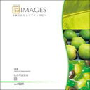ポイント最大31倍(要エントリー)【あす楽】匠IMAGES Vol.024 緑 素材集CD-ROM 送料無料 ロイヤリティ フリー cd-rom画像 cd-rom写真 写真 写真素材 素材
