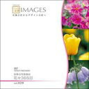 ポイント最大31倍(要エントリー)【あす楽】匠IMAGES Vol.029 花々365日 素材集CD-ROM 送料無料 ロイヤリティ フリー cd-rom画像 cd-rom写真 写真 写真素材 素材