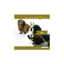 【あす楽】MIXAイメージライブラリーVol.155 DOGS CD-ROM素材集 送料無料 ロイヤリティ フリー cd-rom画像 cd-rom写真 写真 写真素材 素材