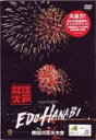 ]HANABI virtual fireworks cԉΑBGV