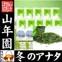 お茶 日本茶 冬のアナタ 100g×10袋セット 送料無料 国産 煎茶 掛川茶 日本茶 茶葉 緑茶 ギフト お中元 敬老の日 お茶 2017 内祝い プレゼント 還暦祝い 男性 女性 父 母 贈り物 香典返し お土産 おみやげ お祝い 誕生日 祖母 お返し 誕生日 高級 早割