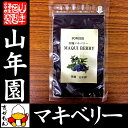 【無農薬マキベリー】マキベリー パウダー 粉末 3