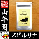 【無農薬 スピルリナ】スピルリナ パウダー 60g 送料無料 粉末 ダイエット スーパーフード セレブ愛用 サプリ スムージー セット ギフト プレゼント お歳暮 敬老の日 お茶 2017 内祝い お返し